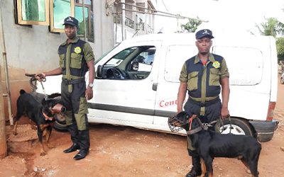 A quoi sert un Agent de sécurité déployé dans un domicile?